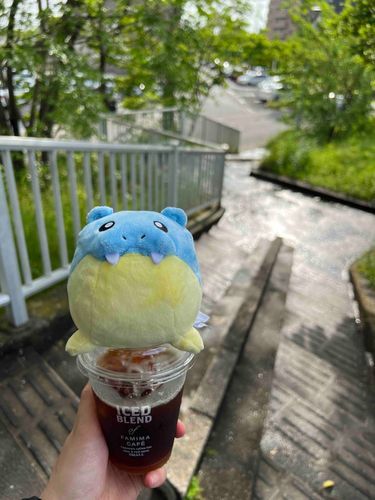 雨上がりお散歩ザラシ🎶