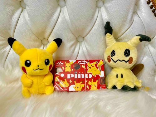 友達のミミッキュと遊んだよ〜。ピカチュウいっぱいでレオンくんもご機嫌。