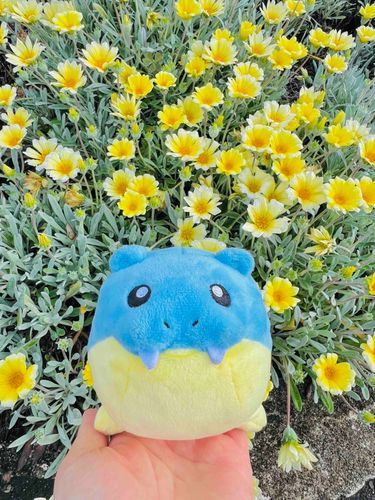 きいろいおはなきれいだね〜。たまちはいつもドヤ顔でかわいい。