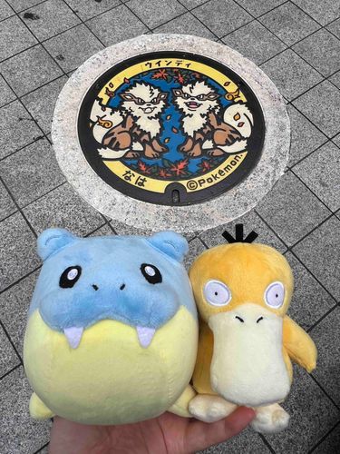 ダブルバトルだね？でんせつポケモン相手に勝てそう？