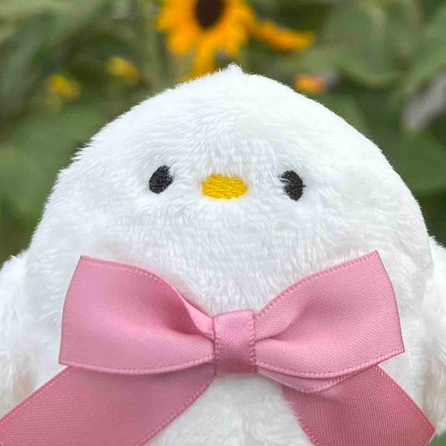 バードウォッチングユー🐓
友達のリボンコウモリカニモドキや人間たちもいます。