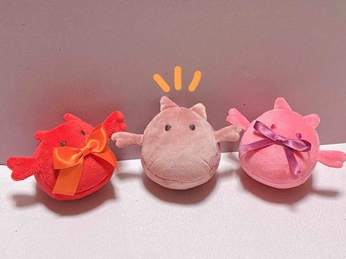 無事もっちりしました🪡どんな色のリボンを着けるか悩むみたいです🎀