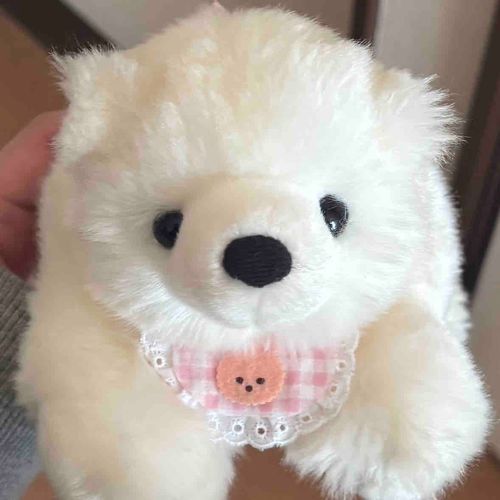 ゆったりのんびりなしろくまの男の子🧸