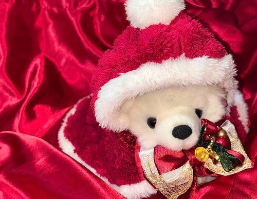 ✨🧸𝑀𝑒𝑟𝑟𝑦 𝐶ℎ𝑟𝑖𝑠𝑡𝑚𝑎𝑠🎄✨

あわてんぼうのサンタクロースさん🎅🏻🎀
