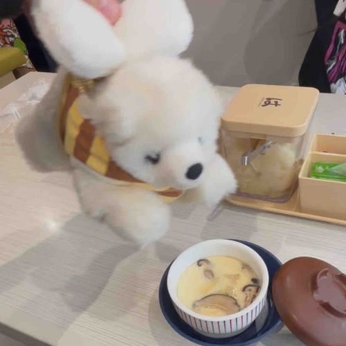 ぶーん🐝