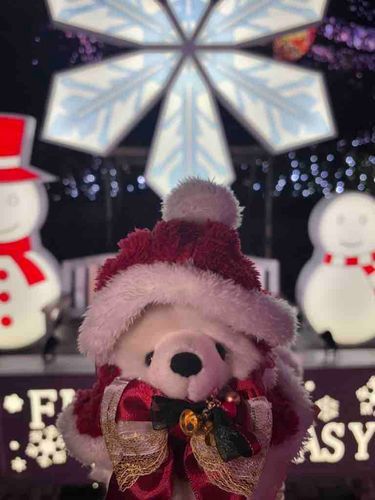 きらきらメリークリスマス！イブ！
ぼくはかいぬしとイルミネーション、見に行ったよ！みんなはどんなクリスマスになったのかな？
あした、サンタさん来るといいなあ。
