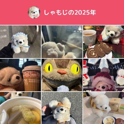色んなところいって、おともだちもたくさんふえたいちねん！！来年もみんな、よろしくね🌟