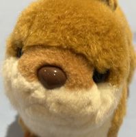 ぼっさ