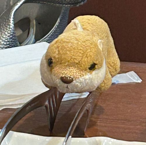 ちいさい  かわうそ
まえは おなかを おすと おとが なった
いまは ならない