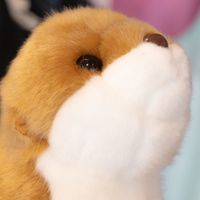 かわこ