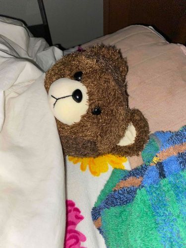 えへへ
あつたかぬくぬく🐻
おふとんだいすき❣️

おやしゆみ(:3[▓▓]
