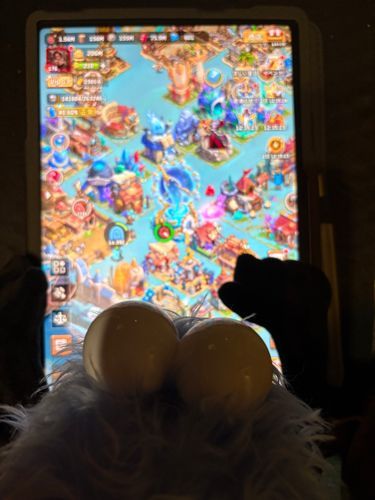 ふーん、これがかんかんがいつもやってるゲームなの？
ゲームもいいけど、僕と遊ぼうよ