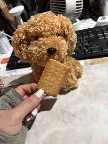 ここなっつさぶれを食べたよ！
スンスンも一緒に食べたんだけど、とっても美味しかったよ！