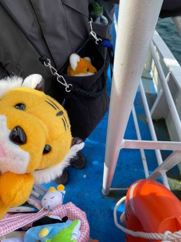 メープル はじめて ゆうらんせんに 乗りました🚢