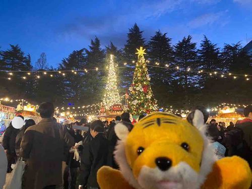 クリスマスマーケットです🎄