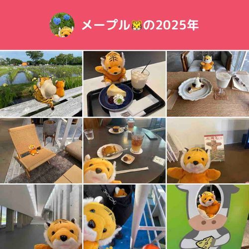ことしも よろしく🐯