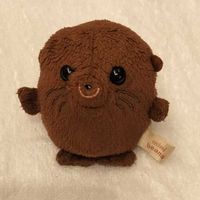 アシカのしょこたん
