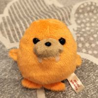セイウチのうっちー