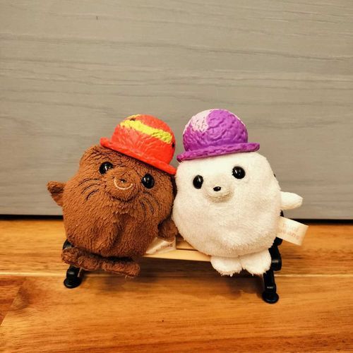 新作をダブルでっ♪