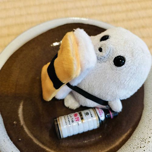 たまごのお寿司として生きていくんだそうです。