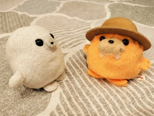 「わぁ！セイウチのおじさんひさしぶり！」
「よう、キューちゃん大きくなったなぁ！」