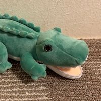 ワニ