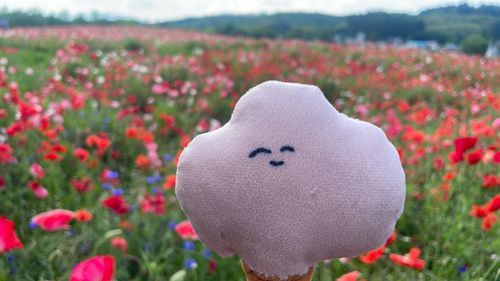 🌸