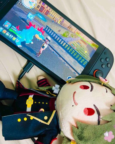 きょうはいっぱいぼうけんしたよ🎮
