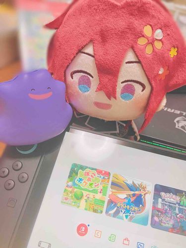 たいしょうがあたらしいげーむをかってきたみたい🎮✨