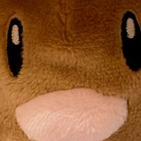 ぴの