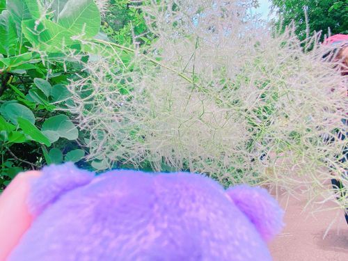 なんだこれ