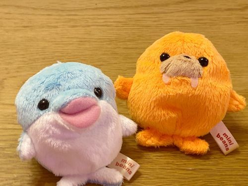 新しい子のイルカ＆セイウチ！
イルカの名前・・・「たけのこ」
セイウチの名前・・・「きのこ」