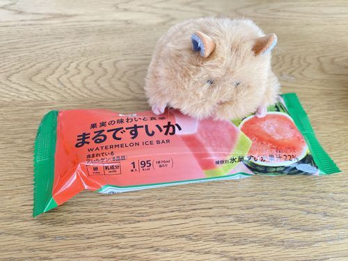 スイカバーみたいなアイス🍉🍨🧊