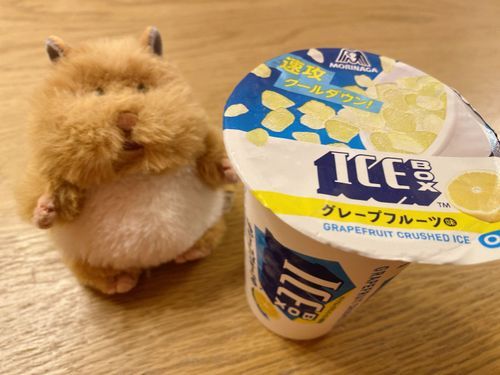 最近たべてなくてたべたらおいしすぎた！！！