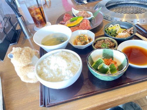焼肉トラジ昨日きた