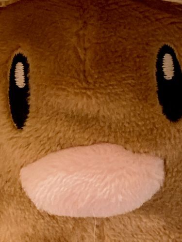 ﾃﾞｨｸﾞﾀﾞ ｽｺｼ ｵﾃﾞｺﾌｸﾗﾝﾀﾞｷｶﾞｽﾙ