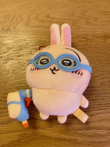 新しい子をお迎えしたよ！