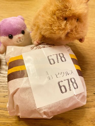 はむだいしゅうごー！