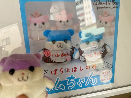 ばらと　ほし！