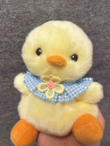 ちょっと生意気な顔の🐥が仲間入りしたよ！