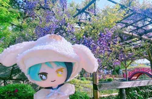 ぼくも いきました(ෆ`꒳´ෆ)

またいきたいです！