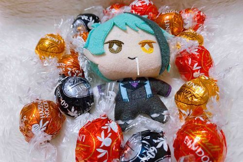 バレンタインデーに貰ったチョコレートに埋もれるジェぬいです

🐬：ここが てんごく…