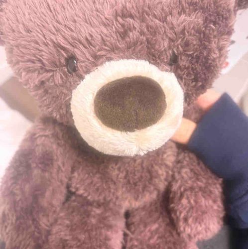 はじめまして(>ᴗ<)
イブに主と出会ったの🎵
これから、たくさん思い出を作って
いきたいな
なまえはすずだよ🙂