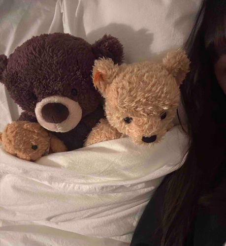 主が疲れてるみたいだから、みんなでおひるねするよ😴