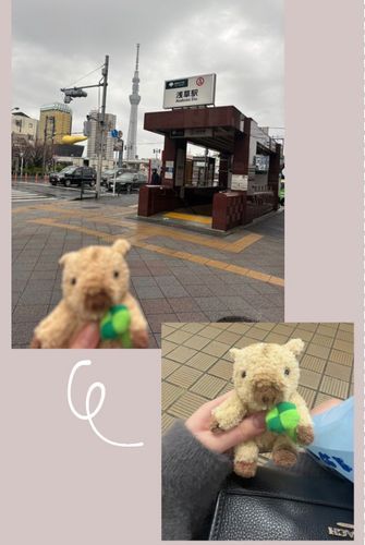 ひさしぶり🎀
foo..というシナダ直営店のぬいぐるみショップに行ってきました> ̫ <
そこで、四葉を持っていて私を幸せにしてくれそうなうり坊に出会ったのでお迎え🍀
今日からよろしくね( ᴗ ̫ᴗ )
