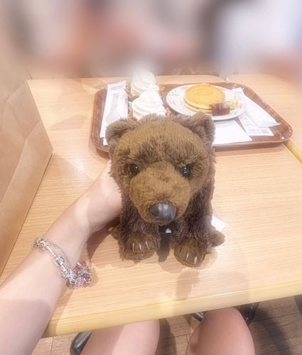 上野動物園に行ってきたよꢏꢷ^ᴗ ̫ ᴗ^
お土産屋さんで一目惚れしてお迎えしたヒグマちゃん〰️🩷
また1人家族が増えました♡
名前はさきこに命名😹