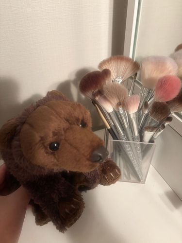 主のメイクを観察してたよ(ᴖ ̫ᴖ  )♪