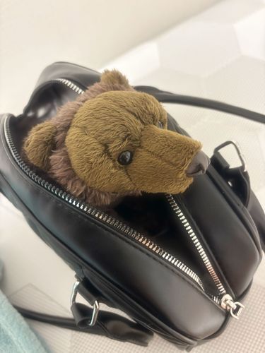主が指を怪我しちゃったから、病院行くんだって。ついて行きたいけど、入らないかな(´･_･`)