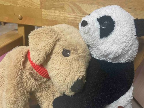 人という字は人と人とが支え合って出来ているらしいよ.....
人間不在だけどね🐶🐼