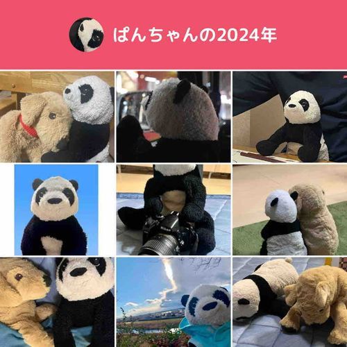 来年はもっと外にでたいな♪